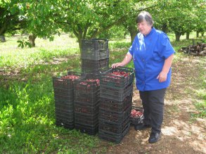 Catherine-Manoel-Comptoir-des-confitures-fruits